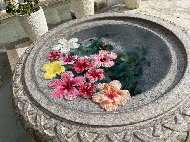 3月末で期限切れのマイルがあり、12000マイル(6000マイル×2人分)を使って、春休み中の息子とどこかにマイルに初挑戦しました。<br />期限ギリギリにやっと申込み、行き先はまさかの石垣島に決定!<br />こんなことなら2泊の旅程にしておけば良かった~。とにかく5日後に出発なので、急いで予定を立てます。<br />初めての石垣島、そして1泊!1日目はウミガメシュノーケリング、二日目は石垣・竹富島観光とガッツリ予定を入れ、出発です。