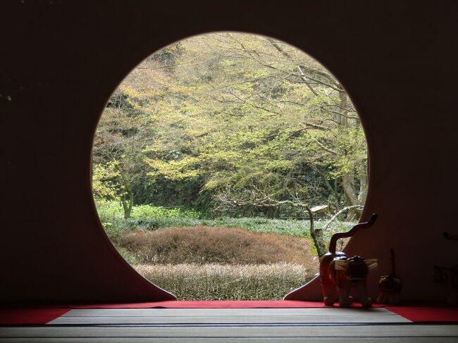 　北鎌倉にある明月院は臨済宗建長寺派のお寺で福源山明月院という。禅興寺の塔頭であるが、禅興寺は明治初年頃に廃絶した。本尊は聖観音である。<br />　明月院の開基は上杉憲方、開山は密室守厳（みっしつしゅごん）である。創建年は不詳であるが、憲方の没年は応永元年（1269年）で、それ以前の創建である。<br />　境内の一角には今、大河ドラマ「鎌倉殿の13人」の主人公・北条義時の曾孫である鎌倉幕府第五代執権・北条時頼公の墓所があり、「鎌倉幕府第五代執権　北条時頼公墓所　（第八代執権時宗の父）」の立て看板が立ち、元寇での英雄として時宗の方が知られている。<br />　時頼は一人明月院に葬られ、その子の時宗は子（時頼の孫）・孫（時頼のひ孫）と一緒に隣にある円覚寺の開基廟の下に並んで葬られている。<br />　おそらくは、この時期に葬送方法に変更があったのであろう。<br />　アジサイ寺として知られるが、実は鎌倉随一の枝垂れ桜の名所でもある。桜のこの時期にはそれが実感できる。<br />　鎌倉では最大級で、一番立派な仏像彫刻が彫られた「明月院やぐら」は開基・憲方の墓とされる。<br />　明月院本堂では丸窓が知られているが、屋根の上の棟の端はなには鬼瓦ではなく、天女を象った瓦が上がっている。これはとても珍しい。<br />　明月に因んで、「名月」に由来するウサギ（、月で餅をついている）の置物や動物のウサギを飼っており、ウサギ小屋もある。また、半月や満月をあしらった石の置物もある。<br />　また、「兎と亀」の亀の置物も多く見られる。すなわち、境内では多くのウサギと亀の置物が見られる。<br />　境内は電線等が地下に埋設され、景観が保たれている。<br />（表紙写真は明月院本堂の丸窓）