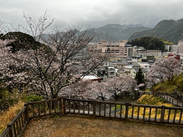 紀伊半島３都？（新宮・那智勝浦・太地）へろへろ旅行記（3）　新宮編