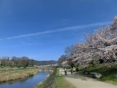 桜メインの花三昧の京都旅　１日目