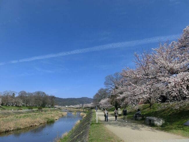 常勤の仕事をリタイアした節目に、久しぶりの京都へ桜とその他の花を見に行きました。時間にも余裕が持てるようになったので、６年ぶりに旅行記をしたためます。