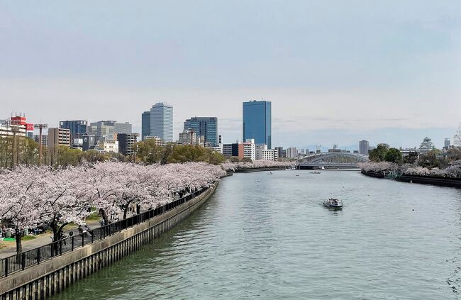 大阪のお花見、今年は大川沿いに行きました。<br />川沿いに約4800本の桜並木が続く、大阪市内でも有名な桜スポットです。<br />このエリアには、造幣局博物館、泉布観などのレトロな建物も並びます。<br />