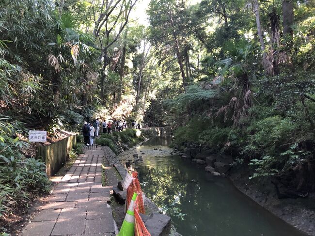 先月2022年3月中旬に静岡県伊東へ一泊二日の一人旅に行ってきましたが、それから暫くの間仕事の都合で旅行に出かける予定が立てられません。<br /><br />そこで昨年2021年9月中旬の週末に、東京都世田谷区の九品仏浄真寺と等々力渓谷を散策して来たことを、旅行記に上げることにしました。<br /><br />旅行記冒頭の写真は、等々力渓谷です。