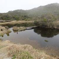 2022年4月離島(3)神津島(2)天上山ハイキング(黒島登山口 表砂漠 裏砂漠 不動池 天上山 不入ｶﾞ沢 白島登山口) 前浜海岸