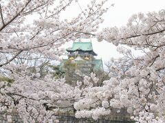 水都大阪の桜巡りに行ってきました（大阪城公園＆大川桜クルーズ）！