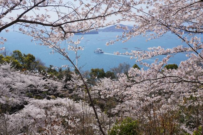 昨年は、広島市の桜の定番である比治山公園や黄金山、平和記念公園、造幣局広島支局花のまわりみちを訪ねましたが、今回はもう少し視野を広げてどこかいいところはないかなと。。尾道の千光寺公園や世羅 甲山ふれあいの里は確かに素晴らしいんですが、だいたい想像がつく感じなんですよね。<br />そんな中で目に止まったのは、広島県緑化センターひろしま遊学の森と正福寺山公園。あんまりメジャーじゃないと思いますが、山並みをバックにした桜と瀬戸内海を見下ろす桜の対比も面白そう。天気予報を睨めっこしつつ、条件のいい日を選んでそれぞれ一日がかりで訪ねました。<br /><br />最初に訪ねたひろしま遊学の森は、公共交通機関だとけっこう不便なところ。広島駅から広島バスで小河原車庫まで。そこから遊学の森のゲートまでが1.7キロなんですが、ゲートからレストハウスとかもある中心部までがさらに2キロ以上。ずっと上り道なので、なかなか辛抱強さが必要です。<br />ただ、はるかに望む山々をバックに咲く桜の並木は本当に見事。下から見上げたり、上から見下ろしたり。ちょっとしたことかもしれませんが、いろんな条件がうまく揃っている感じ。青空にも恵まれて、やっぱり、桜はいいなあ。気持ちが明るくなるお花見になりました。<br /><br />続いての正福寺山公園は、ひろしま遊学の森よりは少しメジャーかな。山頂から満開の桜越しに瀬戸内海を眺めるって、確かに魅力的。事前の情報でもかなり期待が持てそうでした。<br />広島駅を出発、呉を経由して、1時間半で安芸津駅に到着。駅からもうこんもりとした桜の山が見えています。正福寺の境内を経由して山頂までは、歩いて20分もあれば十分ですね。はるか視線の先には瀬戸内海の島々や青い海が広がって、眼下にはまるで沸き立つ雲海のような桜、桜、桜。これは想像以上の絶景です。たまに安芸津港から大崎上島に向かうフェリーも見えるし、これ以上の好条件は考えられないくらい。それに、絶景ポイントがあちこちにあるので、花見客がどこかに集中することがないのもいいと思います。<br /><br />ひろしま遊学の森と正福寺山公園があまりにもよかったので、ついでにもうひとつがんばっての江波山公園。広島市江波山気象館の建つ江波山のてっぺんに整備された公園です。市内を見下ろすロケーションには、桜の大木がけっこうあっていい感じ。ここまで上ってくるだけでもそれなりに大変だと思うのですが、散歩をしている近所の人がちらほら。<br />で、ここで必見は樹齢160年とされるヒロシマエバヤマザクラ。市の天然記念物にも指定されていますが、清らかな白さがちょっと独特。被爆の痛みにも耐えたことを思うとこれからも長く無事であるようにと願うばかりです。