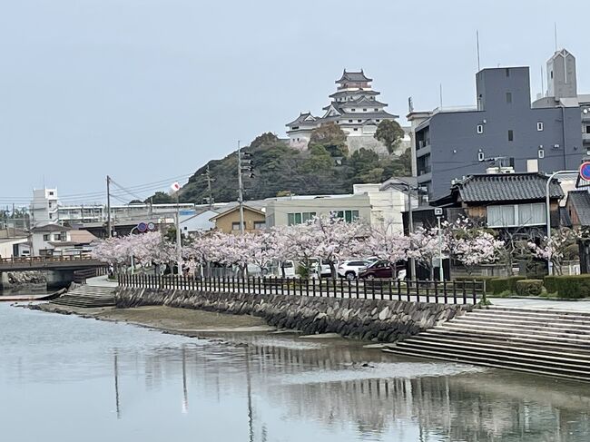 博多2泊３日の旅行中<br /><br />博多バスターミナルから唐津に日帰りで行って来ました。