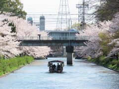 2022.4.5　火　京都市　京都疎水山科側／醍醐寺／伏見港