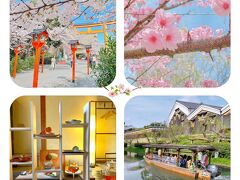 ちょこっと平野神社でお花見＆アフタヌーンティー .:*☆*:. 伏見十石舟の桜風景
