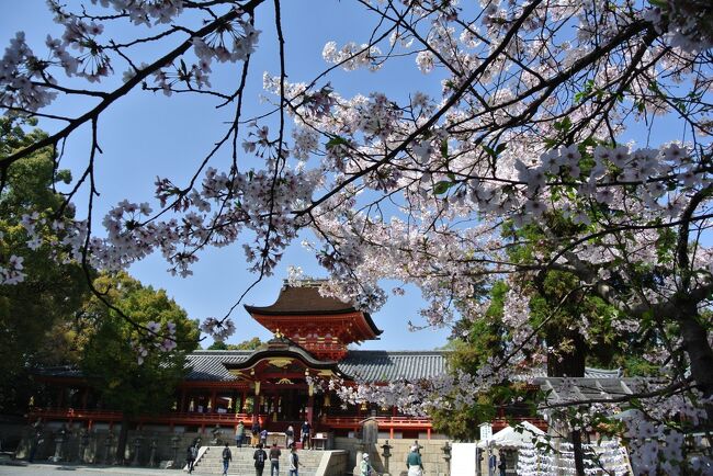 京都の八幡市にある石清水八幡宮は国宝にも指定されている歴史ある<br /><br />神社ですが、桜の名所としても有名です。<br /><br />神社のある男山山上までのケーブルカーに乗るものお楽しみ。<br /><br /><br /><br /><br /><br /><br /><br /><br /><br /><br /><br /><br /><br /><br /><br /><br /><br /><br /><br /><br /><br /><br /><br /><br /><br /><br /><br /><br /><br /><br /><br /><br /><br /><br /><br /><br /><br /><br /><br /><br /><br /><br /><br /><br /><br /><br /><br /><br /><br /><br /><br /><br /><br /><br /><br /><br /><br /><br /><br /><br /><br /><br /><br /><br /><br /><br /><br /><br /><br /><br /><br /><br /><br /><br /><br /><br /><br /><br /><br /><br /><br />