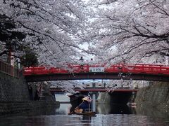 2022 大垣市水門川で桜を眺めながら和舟