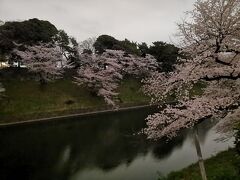 千鳥ヶ淵