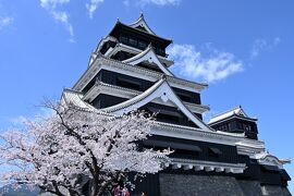 さくら彩る春の九州２都巡り《１》～復活した天守閣・熊本城特別公開第３弾～