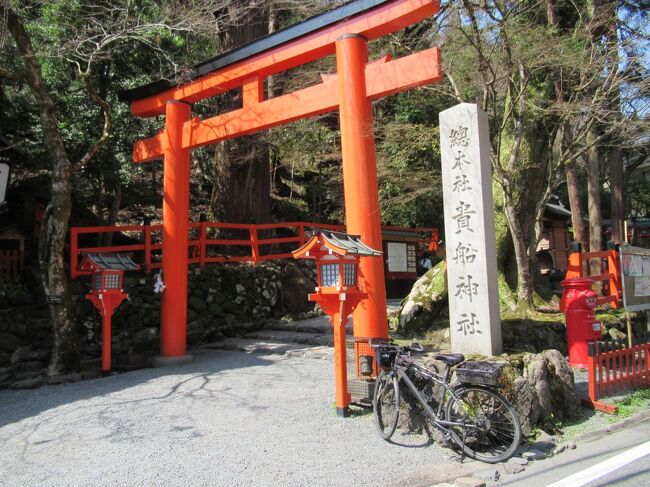 京都の鴨川沿いを北上して、貴船神社まで行きました。<br />途中の鴨川沿いは、桜並木が満開の様子。<br />絶好の晴天で、多くの人出で賑わいを見せていました。<br />そこから、本格的な山道を自転車で登る、ヒルクライムになります。<br />貴船神社を見学して、更にその奥の奥の院から、過酷な山道でヒルクライムが始まります。<br />芹生峠と呼ばれている難所で、平均勾配が約10％、最大斜度が20度という、まるでスキー場の斜面に相当します。<br />これを自転車で登るのですから、過酷な行程となります。<br />途中に、ガケ崩れの修復作業の箇所がありますので、要注意が必要。<br />本格的な桜シーズンの始まりは、本格的なサイクリングシーズンの始まりでもあります。<br /><br />芹生峠ヒルクライムデータ<br />https://hillclimb.nalcise.com/path/2628.html　<br />https://ridewithgps.com/routes/37732574　