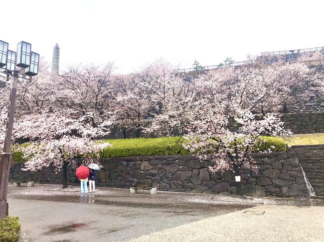 一年位前から色石（色のついた宝石）に興味を持ち始めました。<br />宝石の街、甲府で開催される《甲府ジェムマーケット》に初参戦！<br />ドキドキワクワク♡<br />2日目は雨でしたが、ジュエリーミュージアムや甲府城に。<br />グルメも楽しんだ、人生2回目の一人旅♪<br /><br />ʕ•̫͡•ʕ•̫͡•ʔ•̫͡•ʔ•̫͡•ʕ•̫͡•ʔ•̫͡•ʕ•̫͡•ʕ•̫͡•ʔ•̫͡•ʔ•̫͡•ʕ•̫͡•ʔ•̫͡•ʔ<br />山梨県では江戸時代に上質な水晶が採掘されたことから宝石加工が盛んに。<br />時代と共に宝石の研磨や加工が進歩し、甲府市は「宝石の街」と言われるほど、ジュエリーの出荷量を誇る街となりました。<br />とっても素敵な工房が沢山あり、凄腕の職人さんが集う甲府なのです。