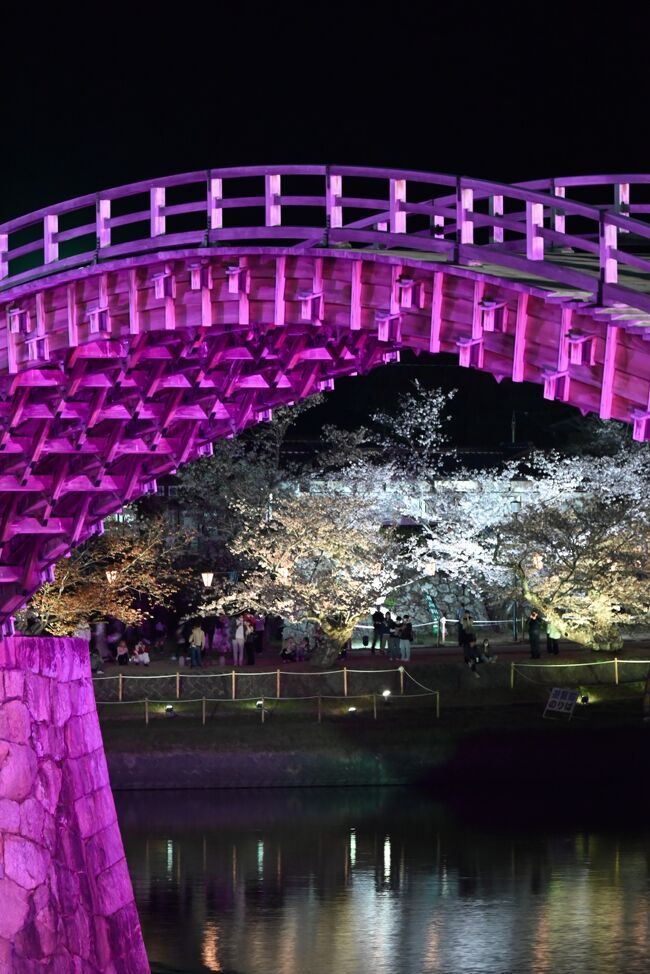 錦帯橋ライトアップ2022が開催されているのを知り、桜も未だ大丈夫なようなので見物に行きました。新幹線で約15分です、新岩国駅から路線バスなら350円で済みますが便数が非常に少ないため仕方なくタクシーとなりますが、思っている以上メーターがでます(°д°) 時間に余裕があれば山陽本線で岩国、そこから路線バス(便数多い)で錦帯橋に行くのををお勧めします。