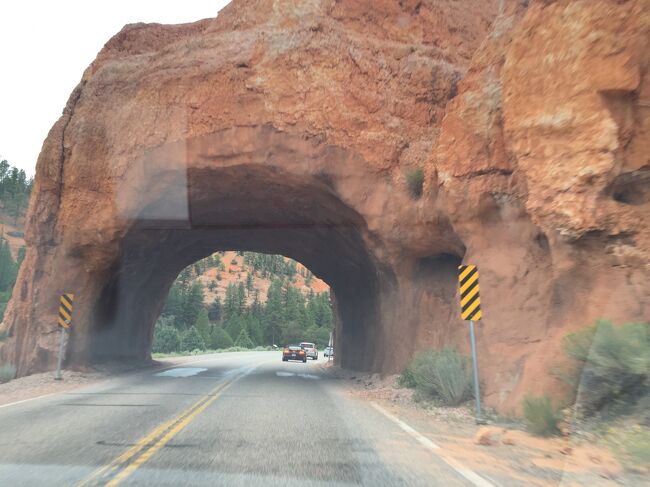 赤い奇形岩や二つのトンネルがドライブする人の目を楽しませてくれます。トレイルも多くあるようで、ビジターセンターもあり、トレッキングを楽しめるようです。