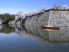 桜満開の城周辺を歩く- 姫路