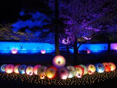 【花手水巡り】２０２２年４月の行田花手水weekを見に行田市へ、花手水ライトアップ「希望の光」