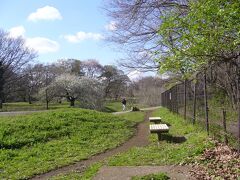 東京シルバーパス漂流記 ４　野川公園を歩く