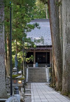 トラピックス　世界遺産高野山の宿坊に泊まる壇上伽藍ナイトツアーと吉野山千本桜（2）高野山の奥の院で弘法大師御廟を参拝し、赤松院に荷を解く。