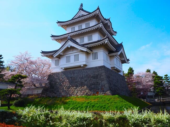 行田市の城址や神社、そして商店街の皆さんなどが協力し、<br />毎月行われている「行田花手水week」<br />名前の通り、花手水が楽しめるイベントになっています<br /><br />何度か訪れていますが、４月の花手水week時期は桜の見頃と重なって、さらに見ごたえがありました！<br />この日の夜は月１回行われる花手水ライトアップイベントも見たので、<br />昼の様子と夜の様子に分けて紹介します<br /><br />何度も見て下さってる方は今月はこんな花が浮かんでるんだ？とか、初めて見る方はこんなイベントあるのか？的な感じで、良ければご覧くださいな＾＾