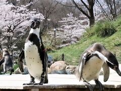 埼玉こども動物自然公園