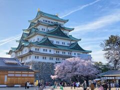 ☆満開の桜が見たくて名古屋城へ