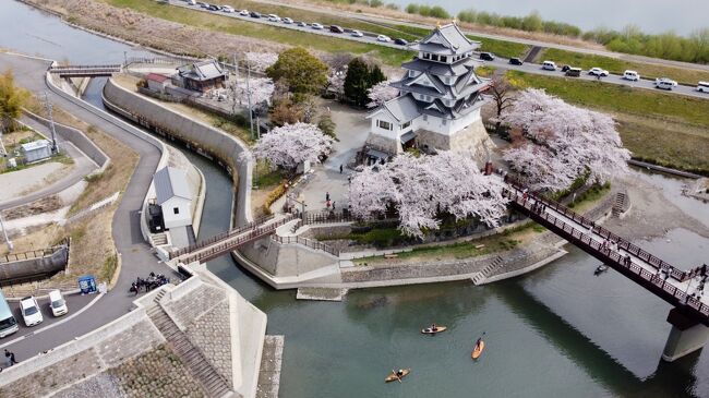 大垣水門川を漕ぎ終わり<br />次に訪れたのは<br />桜満開の墨俣城<br />昨年長良川走行時に見ましたが<br />滅茶苦茶綺麗でしたが<br />車からじゃゆっくり見られなかったが<br />今回は和舟でゆっくり観られ<br />空撮もしちゃいました<br /><br />それも<br />舟を運んでいたら<br />見覚えあるＳＵＰやらカヤックが<br />同じように準備してるじゃないですか<br />こんな広い川で和舟2艇じゃ寂しいが<br />これだけ集まると<br />賑やかで楽しいですね<br /><br />コメントは入れる時間が足りないので<br />後で追加修正します<br />まずは写真だけでもお楽しみください