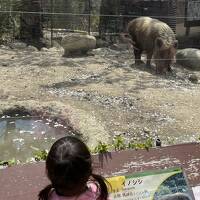 『ホテル花更紗』宿泊記と飯田市立動物園の旅《２０２２岐阜県民割でお得旅PART１》