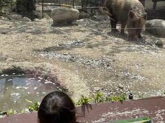 『ホテル花更紗』宿泊記と飯田市立動物園の旅《２０２２岐阜県民割でお得旅PART１》