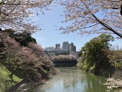 春の東京をぶらぶら ４月