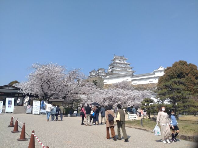 姫路市は兵庫県の南西部(播磨地方)に位置しており、兵庫県内第二位の商工業と人口を擁する都市であります。また、世界遺産の姫路城・書写山圓教寺・三大荒神興の一つ灘のけんか祭りなどの播州の秋祭りが知られています。(Wikipedia参照)姫路城夜桜会・千姫ぼたん祭り・好古園紅葉会などのイベントが開催されます。(姫路市参照)姫路市の特徴は瀬戸内海式気候で、年間を通じて気候や湿度に大きな変化がない所です。ですが、夏場は太平洋高気圧の影響を受けて、猛暑日や熱帯夜になる日も出てきます。(ユニバーサルホーム参照)姫路の地名の由来は、文治年間に安徳天皇を奉じて平家の武将官女が居住したこととされています。(名字の由来参照)<br />姫路市は多くの方は姫路城と思う方が多いと思いますが、魅力はそれだけではありません。世界文化遺産「姫路城」を望み、たくさんの動物を見学出来る姫路市立動物園・世界各国の遺産を体感できる魔訶不思議テーマパーク太陽公園・播磨地方の里地・里海で見られる身近な生きものを展示した姫路市立水族館・平成4年に開園した池泉回遊式の日本庭園好古園など盛りだくさんです。(ひめのみち参照)一日で姫路を満喫する事が出来ます。<br />今回は姫路城・好古園・姫路市立動物園などを訪問し、姫路おでん・アーモンドトースト・たまごやの玉かけめしなどの美味しいグルメを満喫しました。<br />最後になりますが、私の旅行記を見て姫路市に行きたいと思ったきっかけ及び姫路市に旅行に行く時の参考となれば幸いです。姫路市の旅行が皆様にとって忘れられない思い出になります事を心よりお祈り申し上げます。