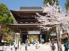 ■ さくら吹雪の谷汲山華厳寺と桜のトンネルを行く樽見鉄道