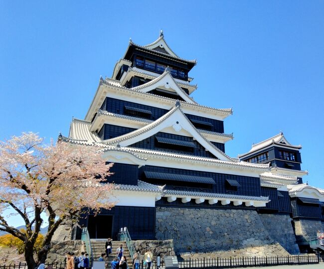 週末の2日間でＪALのどこかにマイルを使った旅をするのが、ここ3、4年ですっかり定着した私の旅のスタイルになりました。<br />今回で26回目のどこかにマイルは熊本に決定。<br />いつも2日間の限られた時間を有効に使い旅をするため、朝は一番早い時間帯の出発で、帰りは一番遅い時間の組み合わせを選択しているのですが、今回は何故か帰りの便が17時25分発<br />そうなると2日目は、移動時間の短いエリアでの観光となってしまい行先に制約が・・・<br />いつものように、ホテルとレンタカーだけ予約してのノープラン。<br />2日目は人吉に行く予定を変更して、八代の街を少しだけ散策した後は、熊本へ向かい熊本城と少しだけ熊本花博の会場を散策し健軍神社を参拝しました。<br /><br />