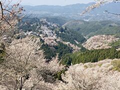 東京から新幹線と近鉄で桜満開の吉野へ　2泊3日