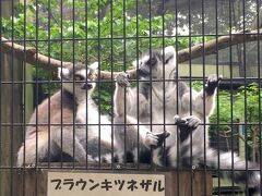 新川崎・夢見ヶ崎動物公園