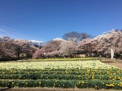 明野・須玉の旅行記