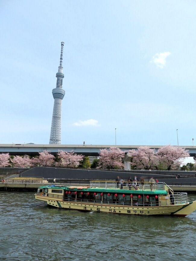 〓─〓─〓─〓─〓─〓─〓─〓─〓─〓─〓─〓─〓<br />お花見シーズンがやってきたぁ～♪<br />3月20日、日本気象庁は2022年東京での桜開花を発表しました。<br />東京は3月28日、さくらが満開となりました！<br />ﾟ･:*.┗┫┣┷.｡*:ﾟ ▽o(´ー｀*)　<br />〓─〓─〓─〓─〓─〓─〓─〓─〓<br /><br />2022年3月21日(月)をもって、全ての都道府県の『まん延防止等重点措置』が終了しました！<br />足元では、感染再拡大の兆候が見られる地域もあり、オミクロン株のBA.2への置き換わりについて注意が必要です。<br />帰省や旅行や都道府県をまたぐ移動では、都道府県知事の判断により緊急事態措置区域及び重点措置区域への不要不急の移動を極力控えるよう促されることがありますので、その場合は知事の要請に従いましょう！<br /><br />　　　∧＿　oE)<br />　 （・∀・|　|<br />　　(ﾖ 　 　  |　再開！！<br />　　 く　く＼ ＼<br />　　 （_＿）（_＿）<br />４月以降、各旅行会社が２年ぶりに海外渡航・海外ツアー再開に向けて動き始めました!!<br />ただし、日本帰国時にPCR検査で陽性反応が出た場合、現地で自己負担による滞在延長となります（注※）PCR検査も国によって金額が大きく異なります<br />　　_, ._<br />（；ﾟ Дﾟ） …<br />＜日本へ入国の検査証明書の提出について＞<br />令和4年4月6日更新↓↓<br />※オミクロン株の流行に伴い、出国前72時間以内の検査結果が陰性であっても、入国時の検疫検査で陽性となるケースが増加しています。<br />※全ての入国者（日本人を含む）出国前72時間以内に検査を受け、医療機関等により発行された証明書（検査証明書）を提出しなければなりません。<br />※有効な検査証明書を提示できない方は、検疫法に基づき、日本への上陸が認められません。<br />※出発国において搭乗前に検査証明書を所持していない場合には、航空機への搭乗を拒否されます。<br /><br />①検査証明書の提示<br />●検疫所へ「出国前72時間以内の検査証明書」の提出が必要です。「出国前72時間以内の検査証明書」が提出できない場合、検疫法に基づき、日本への上陸が認められないことになります。<br />●検査証明書の様式は所定のフォーマットを使用すること<br />●所定のフォーマットを使用することが困難な場合には、任意のフォーマットの提出も妨げられませんが、「検査証明書へ記載すべき内容」が満たされている必要があります。<br />●また、有効な検体、検査方法等が記載された検査証明書のみ有効と取り扱います。<br />②検疫所が確保する宿泊施設での待機・誓約書の提出<br />●日本入国前に滞在した国・地域に応じて、検疫所が確保する宿泊施設で待機し、検査を受けていただきます。<br />●待機期間中における公共交通機関の不使用、自宅等での待機、位置情報の保存・提示、接触確認アプリの導入等について誓約いただくことになります。誓約に違反した場合は、検疫法に基づく停留措置の対象となり得るほか、<br />（１）日本人については、氏名や、感染拡大防止に資する情報が公開され得ること、<br />（２）在留資格保持者については、氏名、国籍や感染拡大防止に資する情報が公開され得ること、また、在留資格取消手続及び退去強制手続等の対象となり得ることがあります。<br />③スマートフォンの携行、必要なアプリの登録<br />●誓約書の誓約事項を実施するため、位置情報を提示するために必要なアプリ等を利用できるスマートフォンの所持が必要となります。<br />●検疫手続の際に、必要なアプリを利用できるスマートフォンの所持を確認できない方は、入国前に、空港内でスマートフォンを自身の負担でレンタルしていただくようになります。<br /><br /><br />＜入国後の自宅等待機期間の変更等について＞<br />水際対策強化に係る新たな措置↓↓<br />１．入国後の自宅等待機期間の変更<br />（1）検疫所の宿泊施設での待機対象となっている国・地域（以下「指定国・地域」という。）から　帰国・入国する方で、新型コロナウイルス感染症のワクチンを３回接種していない方は、検疫所が確保する宿泊施設での３日間待機が求められます。<br />（2）指定国・地域から帰国・入国する方で、ワクチンを３回接種していることが確認できる証明書を保持している方※は、原則７日間の自宅等待機を求められますが、入国後３日目以降に自主検査を受け、陰性の結果を厚生労働省（入国者健康確認センター）に届け出て確認が完了した場合は、その後の自宅等待機の継続は求められません。<br />（3）指定国・地域以外から帰国・入国する方で、ワクチンを３回接種していない方は、原則７日間の自宅等待機を求められますが、入国後３日目以降に自主検査を受け、陰性の結果を厚生労働省（入国者健康確認センター）に届け出て確認が完了した場合は、その後の自宅等待機の継続は求めないこととしています。<br />（4）指定国・地域以外から帰国・入国する方で、ワクチンを３回接種していることが確認できる証明書を保持している方※は、入国後の自宅等待機を求めないこととしています。<br /><br />(　-_ゝ-)ｂ<br />※有効なワクチン接種証明書を入国時の検疫で提示する必要があります。<br />※入国後10日間を経過するまでは、検温など自身による健康状態の確認等を行います。<br />※検疫所又は保健所等から自宅等待機の継続等について別途指示があった場合には、その指示に従う必要があります。<br />※３日目以降に受けた検査の結果が出るまでに、数日を要する検査機関もありますので、必ず自身で確認の上、受検してください。<br />※上記（1）～（4）のいずれの場合も、陽性者、濃厚接触者となった場合は、自宅等での待機期間の短縮の対象となりません。<br />※オミクロン株以外の変異株が支配的となっていることが確認されている国・地域が別途指定された場合には、当該国・地域から帰国・入国する方については、自宅等待機等の期間は14日間となります（現時点で該当する国・地域はありません。）<br />※空港検疫で陽性となった方が、ゲノム解析の結果、オミクロン株以外（デルタ株等）の陽性者と判明した場合、当該陽性者の機内濃厚接触者の方は、濃厚接触者としての待機期間が14日間になることがあります。<br /> <br />２．入国後の公共交通機関の使用について<br />上記1（2）及び（3）に該当する方は、入国後の待機のため自宅等まで移動する際は、公共交通機関の使用が可能となります。ただし、入国時の検査（検体採取時）から24時間以内に移動が完了し、かつ自宅等までの最短経路での移動に限ります。<br />※入国者健康確認センターから連絡をとる場合があるため「ＭｙＳＯＳ」をインストールする必要があります。<br />※検疫所又は保健所等から自宅待機の継続等について別途指示があった場合は、その指示に従う必要があります。<br />※いずれの場合も、陽性者、濃厚接触者となった場合は、自宅等での待機期間短期の対象となりません。<br />　 ∧ ∧<br />　(-＿-) ････。<br />　(∩∩ )　<br />仕事がある人はハードルが、、<br /><br />ところで４トラ掲示板の妄想老婆たち<br />ただただ妄想プランで行ったつもりになっとるな！（笑）<br />婆さん凄まじい妄想力の持ち主とかｗｗｗ<br />(((*≧艸≦)ﾌﾟﾌﾟｯ<br /><br />