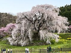 《2022.April》あみんちゅなにげに関西街歩きの旅奈良そのⅣ～又兵衛桜リベンジ編～