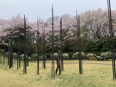 桜家