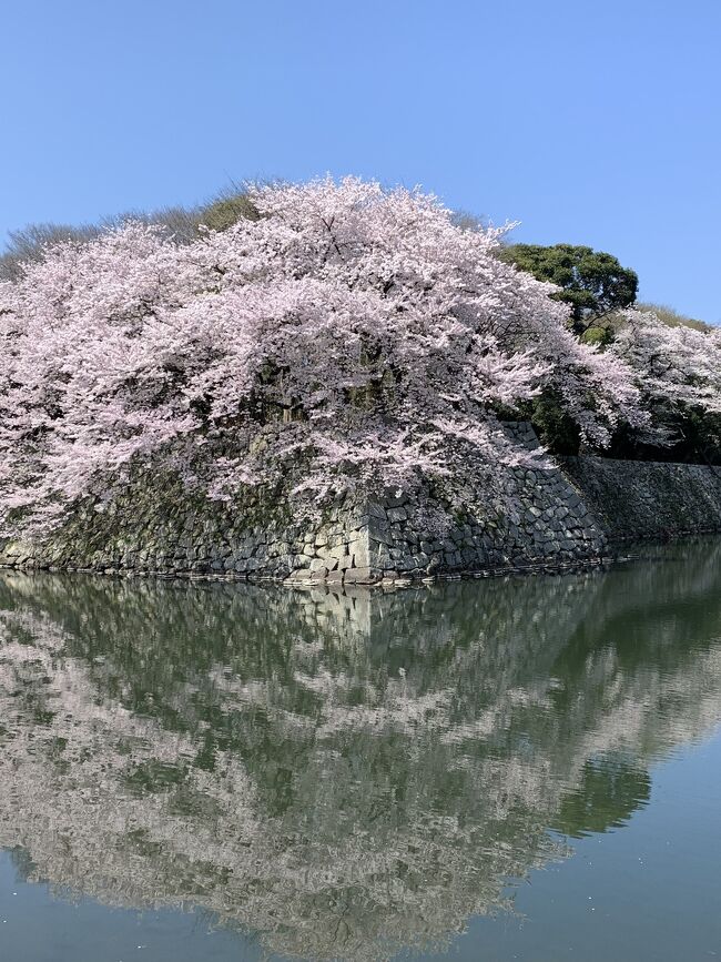 草津の共立リゾート、良かったなあ～と<br /><br />余韻が残り行けていないところに行こうってことになり<br /><br />去年オープンの「白鷺の湯能登　海舟」へ<br /><br />自宅から直だと移動がしんどいので<br /><br />前後に違う温泉宿をはさみ行ってきました<br />