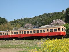 養老渓谷の旅行記