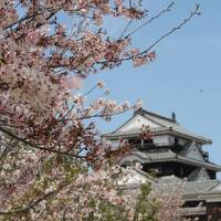 誕生日に松山の旅