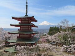 団塊夫婦の桜巡りドライブ・2022ー（速報）快晴の新倉山浅間公園へ行ってきました。