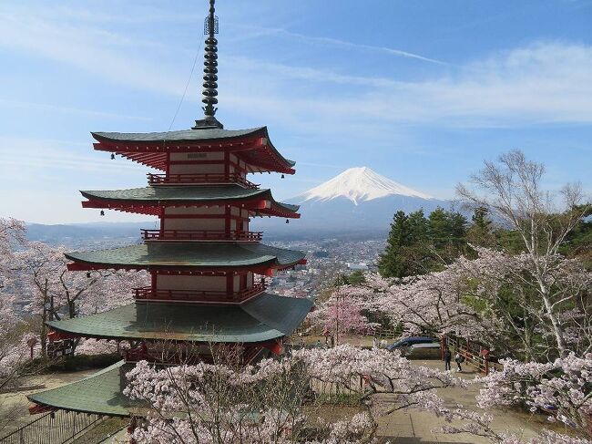日本の春景色の代表格として世界中に知られている山梨県・富士吉田市の新倉（あらくら）山浅間（せんげん）公園。意外に近いところにありながら、これまでその景色を実際に見たことはありませんでした。桜の咲く時期で、しかも晴れの天気が続かないとなかなか見るのは難しいが、4月5日から晴れの天気が1週間以上も続き、京都・奈良の旅行から帰った翌日の4月11日に運よく訪れることができました。<br />(追記）今年（2024年）は、珍しく開花が遅れ気味でしたが、ようやく見ごろになり始めたようなので、天気の良い日に是非訪れて見てはいかがでしょうか。