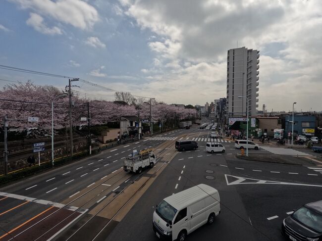 2022/3/30 都心方面へ花見に行きました。<br />たくさん歩いて疲れましたが、リフレッシュできました。<br /><br />撮影機材は<br />OLYMPUS E-5 (ZD12-60SWD/ZD50-200SWD)<br />GoPro HERO10<br />Xiaomi RedmiNote9S<br /><br />自宅→JR大久保駅→（都バス）→戸山公園（箱根山）～早稲田大学～甘泉園公園～面影橋～都電早稲田停留所→都電飛鳥山停留所～飛鳥山公園～JR王子駅→JR浮間舟渡駅～浮間公園～JR浮間舟渡駅→自宅<br /><br />その3では、飛鳥山公園と浮間公園の様子をご覧ください。