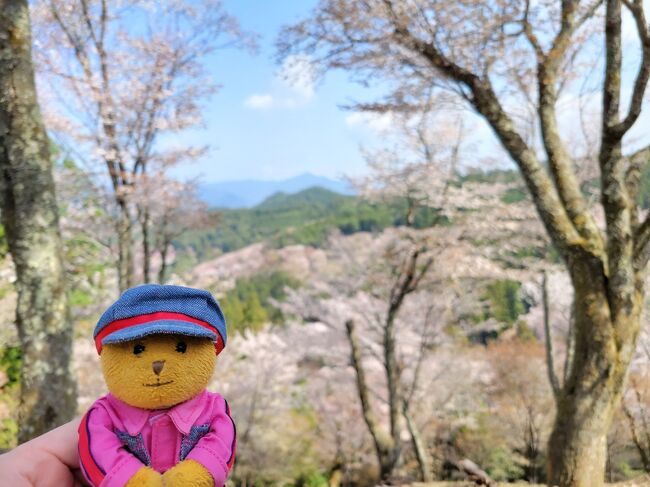 青春18きっぷ旅第2弾<br /><br />今回は春を求めて…ということで、<br />・京都の春の風物詩『都をどり』の鑑賞<br />・吉野山の桜<br />に去年の春に会ったきりで、まん防のためになかなか二度目に会いに行けなかった、<br />白浜の子パンダに会いに行ってきました。<br /><br />最終日<br />吉野山の桜を見て、春を感じてから帰ります。