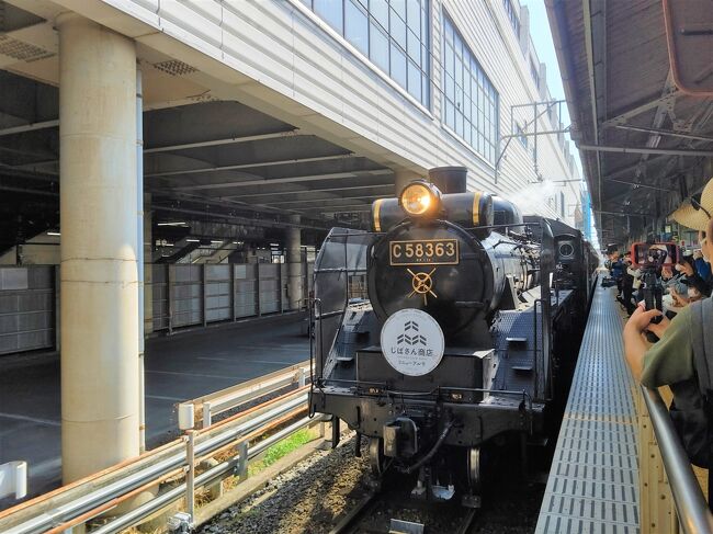 秩父鉄道のSLパレオエクスプレスに乗って、秩父日帰り旅。<br /><br />好みで言うと乗り鉄より撮り鉄、でものんびり列車に揺られるのもたまにいいよね！と言う事で、東京より開花の遅い秩父へ桜を観におでかけ。<br /><br />秩父鉄道のSLパレオエクスプレスは3月中旬から原則土・日曜に熊谷駅～三峰口駅を4車両で1往復運行、なかなか倍率が高い（笑）<br />開花予想を信じて4月10日（日）熊谷～秩父を予約。<br /><br />そのあとはお花見！<br />秩父駅から羊山公園に徒歩移動、途中の道の駅でランチ。<br />ほぼほぼ満開の桜！<br />欲張って芝桜も観に行くも、ゴールデンウィークが見頃らしいので、3・4分咲き？<br /><br />この日は4月なのに、夏日の27℃越え。<br />先週の横浜とは雲泥の差（笑）<br />西武秩父駅に隣接している「祭の湯」で、汗と花粉を洗い流して帰宅。<br /><br />新宿駅→（湘南新宿ライン）→熊谷駅→（SLパレオエクスプレス）→秩父駅…道の駅秩父…羊山公園…見晴らしの丘…芝生公園…芝桜の丘…西武秩父駅祭の湯…西武秩父駅→（ラビュー）→池袋駅<br /><br />本日は16,831歩でした。<br /><br />