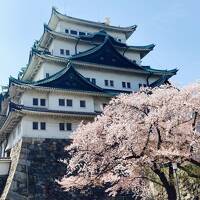 春旅♪観光…よりご当地グルメに夢中！【愛知県編】